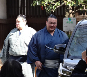 稀勢の里.jpg