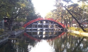 IMG_20230107_114115.jpg